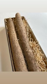 鳥取県産『砂丘長芋』の販売開始のお知らせ