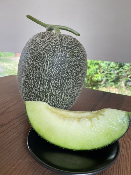 画像1: ペルルメロン 2玉入（産地：鳥取県倉吉市） (1)
