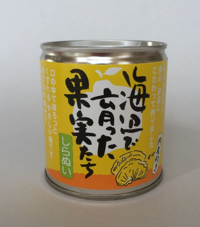 最新品お得海辺で育った果実たち　(愛媛県産) 24缶 その他 加工食品